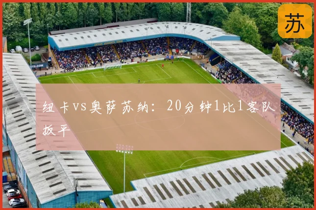 纽卡vs奥萨苏纳：20分钟1比1客队扳平